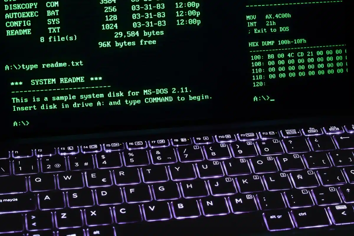 Fenêtre Terminal macOS affichant une commande d'activation système