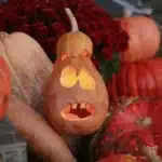 Enceinte connectée décorée avec une coque à thème Halloween, entourée de citrouilles et de feuillages d'automne