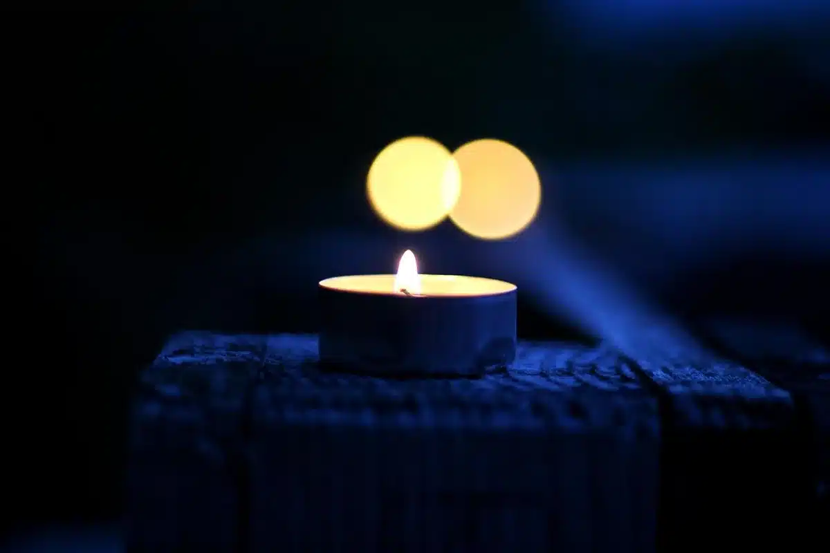 Éclairage de jardin et allée avec projecteur LED extérieur