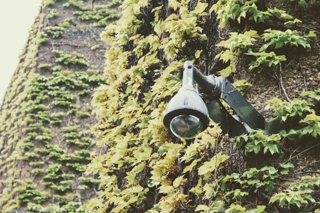 Caméra de surveillance sans fil installée sur une façade résidentielle avec éclairage d'allée