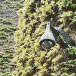 Caméra de surveillance sans fil installée sur une façade résidentielle avec éclairage d'allée