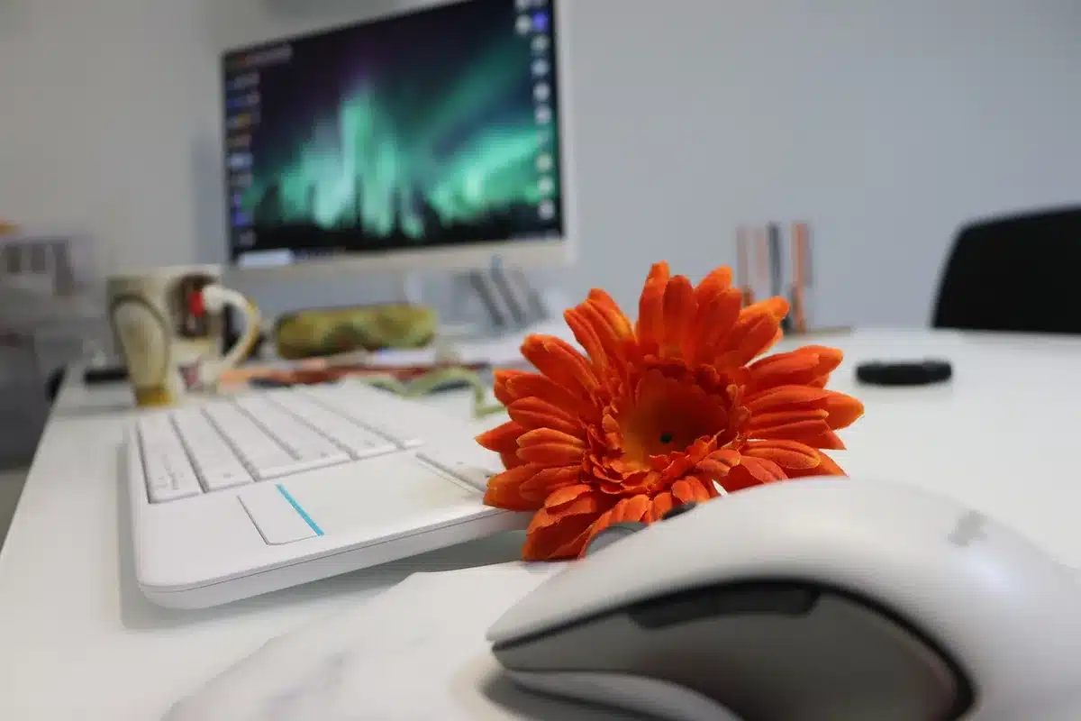 Différentes webcams posées sur un bureau pour comparer la résolution