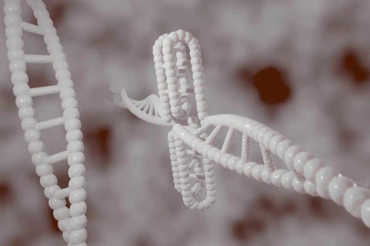 Structure moléculaire d'un polymère autoréparant avec liaisons dynamiques