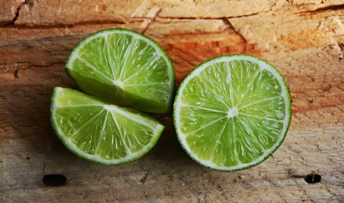Gros plan sur des agrumes et herbes illustrant des notes d'agrumes et boisées