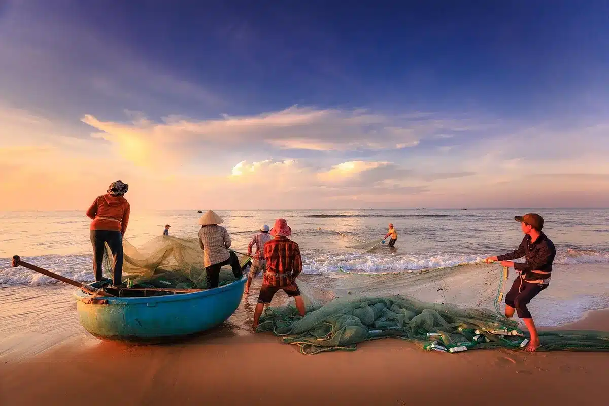 Bateau de pêche et baleine au large illustrant la récolte d'or marin